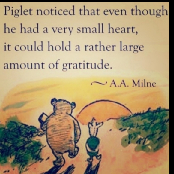 Colorful set of 3 PARING KNIVES w/Blade guards, Cucumber 🥒 Orange 🍊TOMATO 🍅 - Picture 9 of 16